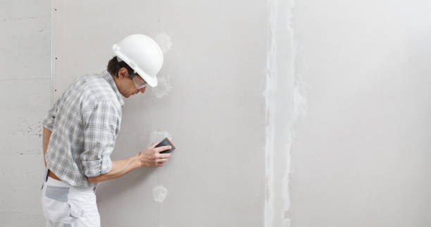 Best Industrial Mold Remediation  in Pell City, AL