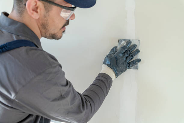 Mold Remediation for Rental Properties in Pell City, AL