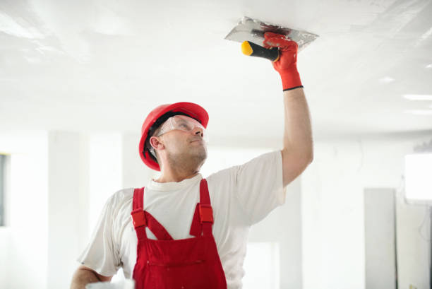 Best Post-Construction Mold Inspection  in Pell City, AL