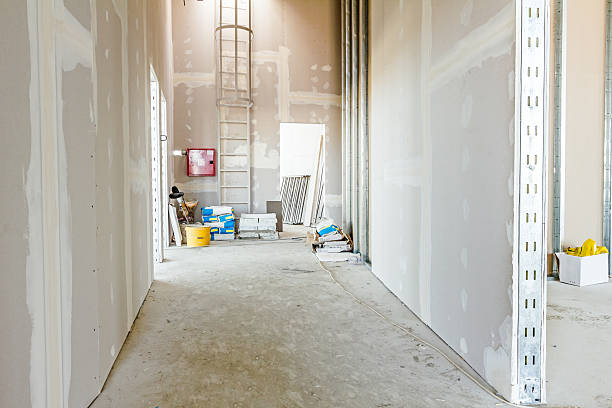 Best Basement Mold Removal  in Pell City, AL