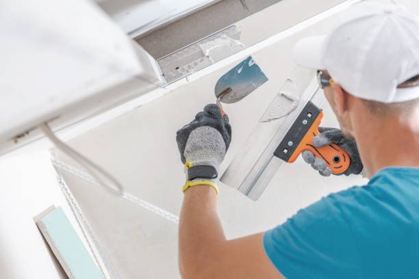 Best HVAC Mold Inspection and Cleaning  in Pell City, AL